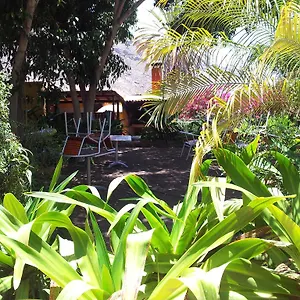 https://el-jardin-mogan.in-canary-islands.com